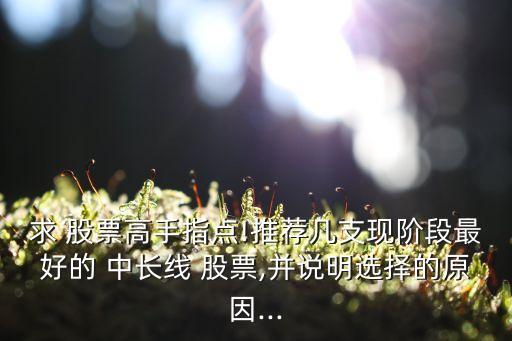 求 股票高手指點!推薦幾支現階段最好的 中長線 股票,并說明選擇的原因...