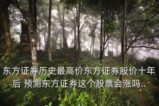 中國股市2015年預(yù)測