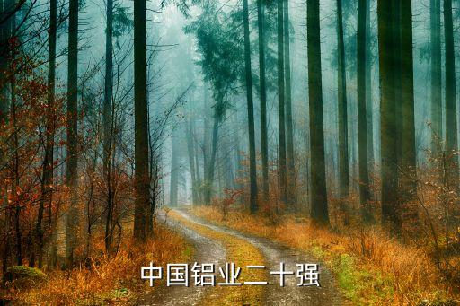 中國鋁業(yè)二十強(qiáng)