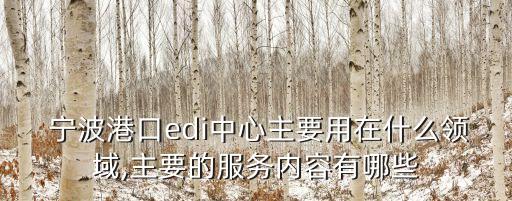  寧波港口edi中心主要用在什么領(lǐng)域,主要的服務內(nèi)容有哪些