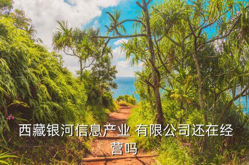 西藏銀河信息產業(yè) 有限公司還在經營嗎