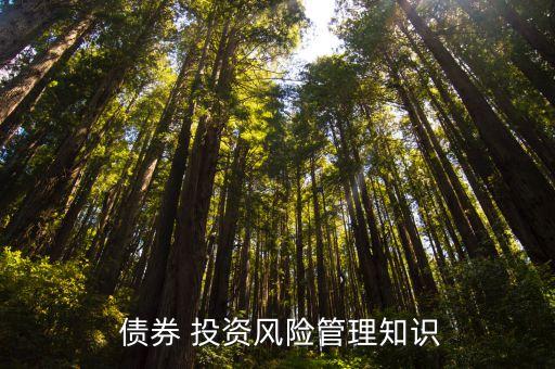  債券 投資風(fēng)險(xiǎn)管理知識(shí)