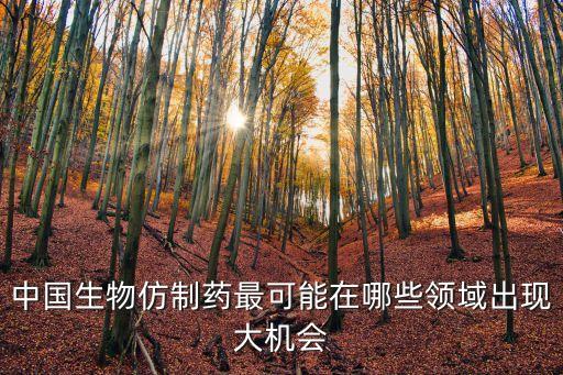 中國生物仿制藥最可能在哪些領(lǐng)域出現(xiàn)大機(jī)會(huì)