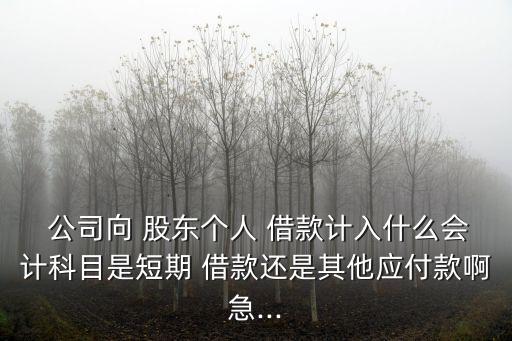公司借款給股東的賬務(wù)處理,股東借款轉(zhuǎn)為實收資本的賬務(wù)處理