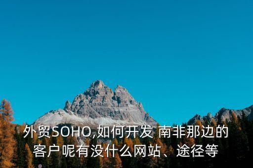 外貿(mào)SOHO,如何開發(fā) 南非那邊的客戶呢有沒什么網(wǎng)站、途徑等
