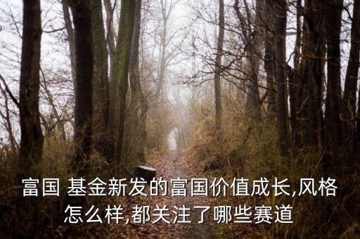 富國 基金新發(fā)的富國價值成長,風(fēng)格怎么樣,都關(guān)注了哪些賽道