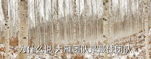 為什么說(shuō) 大雁團(tuán)隊(duì)是最佳團(tuán)隊(duì)