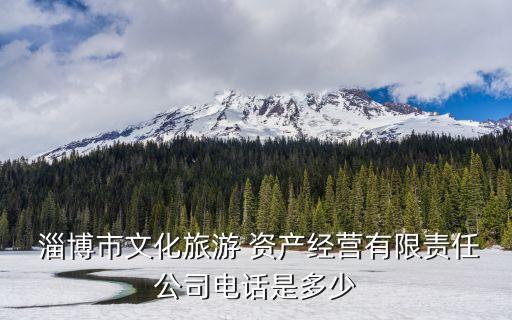  淄博市文化旅游 資產(chǎn)經(jīng)營(yíng)有限責(zé)任公司電話是多少