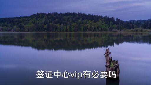  簽證中心vip有必要嗎