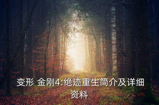 變形金剛4中國(guó)戰(zhàn)機(jī)
