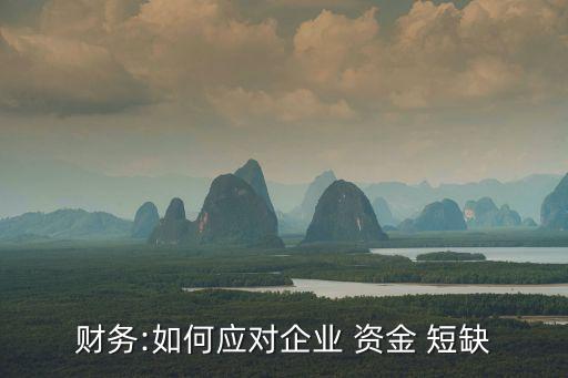 財務(wù):如何應(yīng)對企業(yè) 資金 短缺
