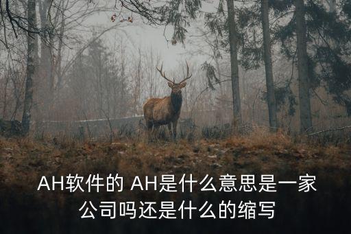  AH軟件的 AH是什么意思是一家 公司嗎還是什么的縮寫(xiě)