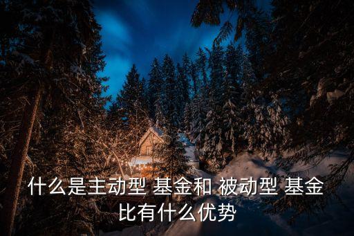 什么是主動(dòng)型 基金和 被動(dòng)型 基金比有什么優(yōu)勢