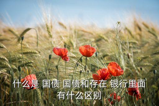 各個(gè)銀行發(fā)行的國債一樣嗎