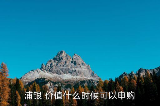 浦銀 價值什么時候可以申購