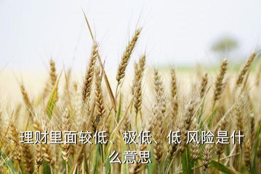  理財(cái)里面較低、極低、低 風(fēng)險(xiǎn)是什么意思