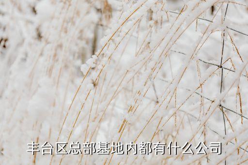 豐臺區(qū)總部基地內(nèi)都有什么公司