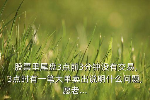  股票里尾盤3點(diǎn)前3分鐘沒有交易,3點(diǎn)時有一筆大單賣出說明什么問題,愿老...