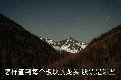 怎樣查到每個板塊的龍頭 股票是哪些