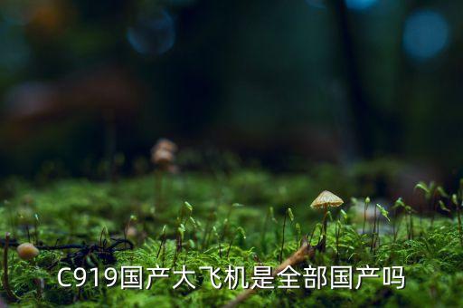 C919國產(chǎn)大飛機(jī)是全部國產(chǎn)嗎