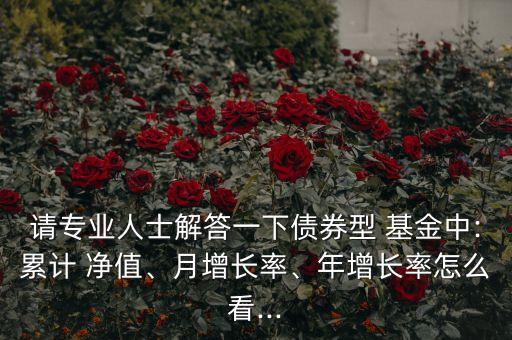 請(qǐng)專業(yè)人士解答一下債券型 基金中:累計(jì) 凈值、月增長(zhǎng)率、年增長(zhǎng)率怎么看...