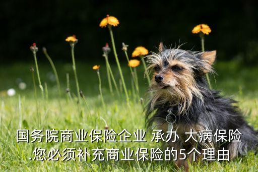 國務院商業(yè)保險企業(yè) 承辦 大病保險.您必須補充商業(yè)保險的5個理由