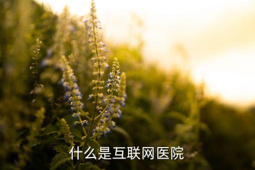 什么是互聯(lián)網醫(yī)院