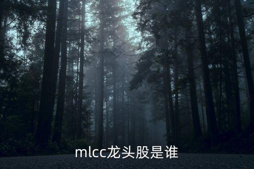 三環(huán)集團(tuán)解禁股,京b摩托車(chē)解禁到三環(huán)