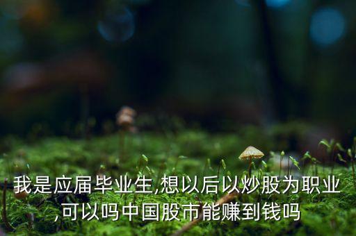 我是應(yīng)屆畢業(yè)生,想以后以炒股為職業(yè),可以嗎中國股市能賺到錢嗎