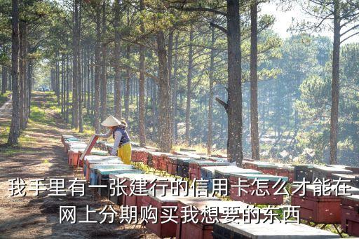 我手里有一張建行的信用卡怎么才能在網上分期購買我想要的東西