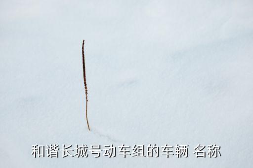 和諧長(zhǎng)城號(hào)動(dòng)車組的車輛 名稱
