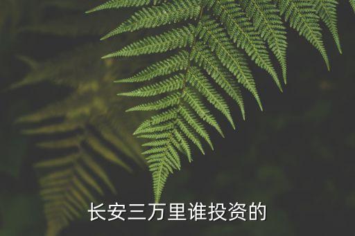 長(zhǎng)安三萬(wàn)里誰(shuí)投資的