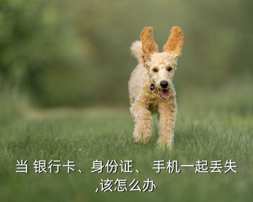當(dāng) 銀行卡、身份證、 手機一起丟失,該怎么辦