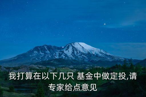 我打算在以下幾只 基金中做定投,請專家給點意見