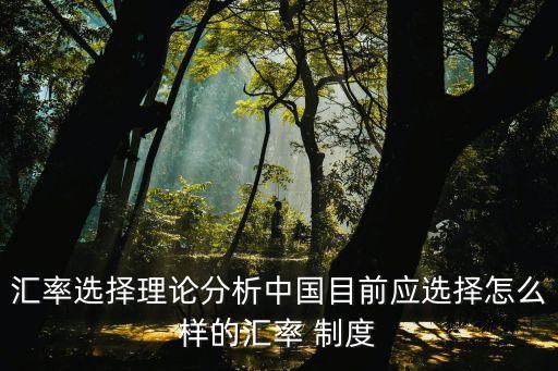 匯率選擇理論分析中國(guó)目前應(yīng)選擇怎么樣的匯率 制度