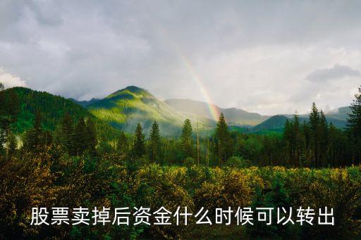  股票賣掉后資金什么時候可以轉出