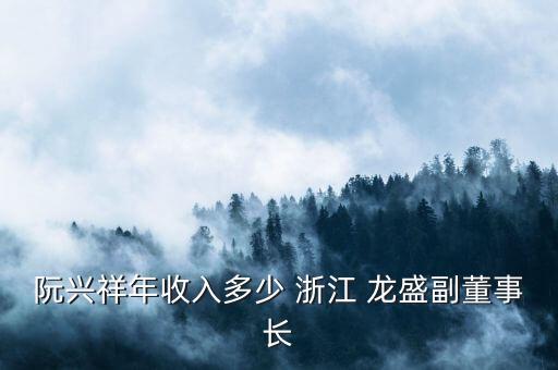 阮興祥年收入多少 浙江 龍盛副董事長(zhǎng)