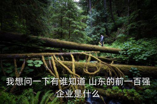 我想問一下有誰(shuí)知道 山東的前一百?gòu)?qiáng)企業(yè)是什么