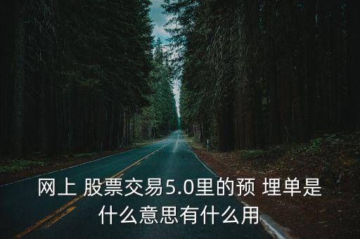 網(wǎng)上 股票交易5.0里的預(yù) 埋單是什么意思有什么用