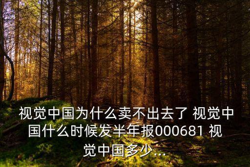  視覺中國為什么賣不出去了 視覺中國什么時候發(fā)半年報000681 視覺中國多少...