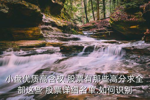 小盤(pán)優(yōu)質(zhì)高含權(quán) 股票有那些高分求全部這些 股票詳細(xì)名單.如何識(shí)別