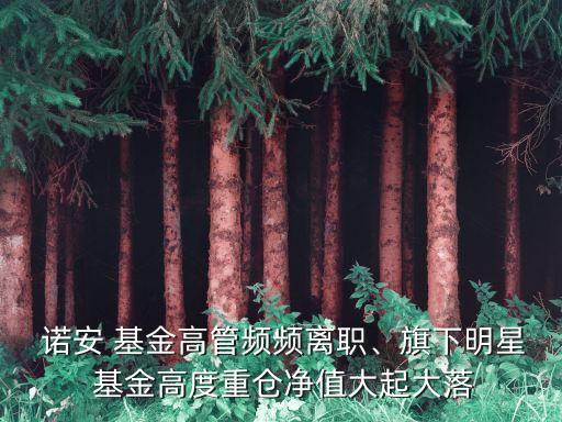  諾安 基金高管頻頻離職、旗下明星 基金高度重倉(cāng)凈值大起大落