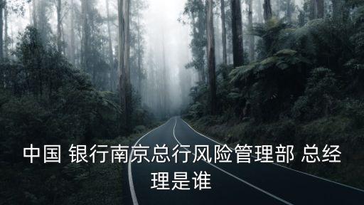 中國 銀行南京總行風險管理部 總經理是誰