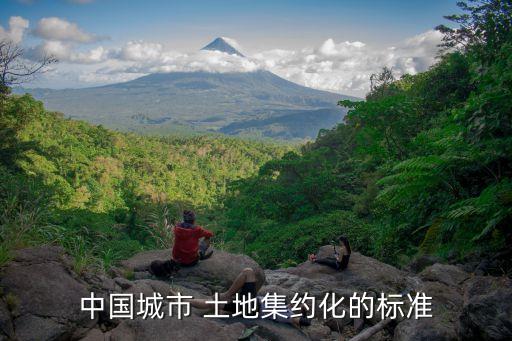 中國(guó)城市 土地集約化的標(biāo)準(zhǔn)