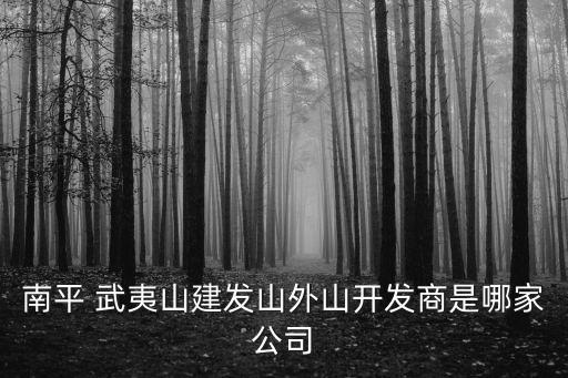 武夷集團,江訓強 武夷集團