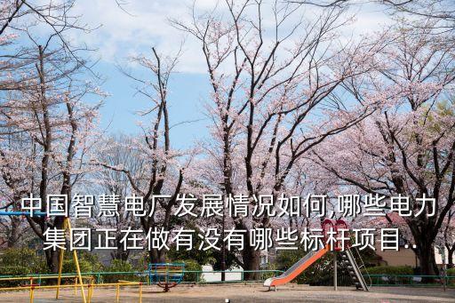 中國(guó)智慧電廠發(fā)展情況如何,哪些電力 集團(tuán)正在做有沒有哪些標(biāo)桿項(xiàng)目...