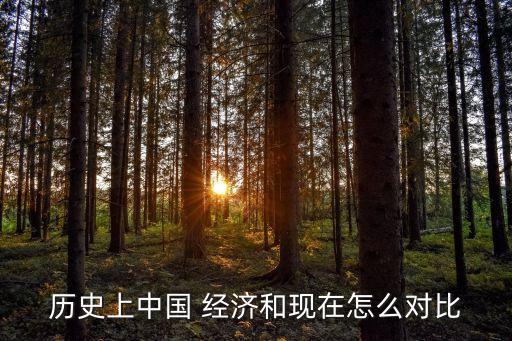 歷史上中國 經(jīng)濟和現(xiàn)在怎么對比