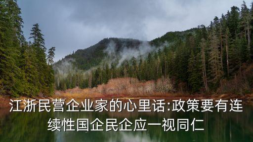 江浙民營企業(yè)家的心里話:政策要有連續(xù)性國企民企應一視同仁