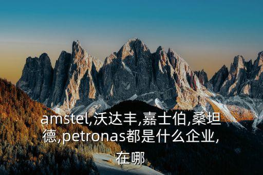 amstel,沃達(dá)豐,嘉士伯,桑坦德,petronas都是什么企業(yè),在哪