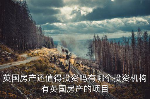英國房產(chǎn)還值得投資嗎有哪個投資機構(gòu)有英國房產(chǎn)的項目